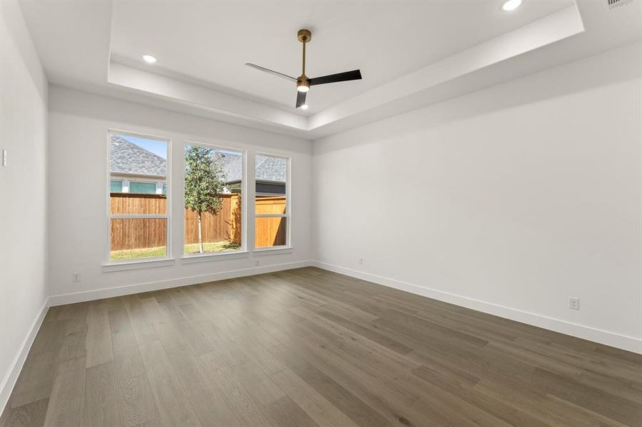 32. 3409 Alysheba - Primary