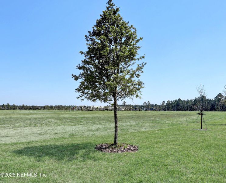 Natural landscape and outdoor views near  in St. Augustine (Image 16).