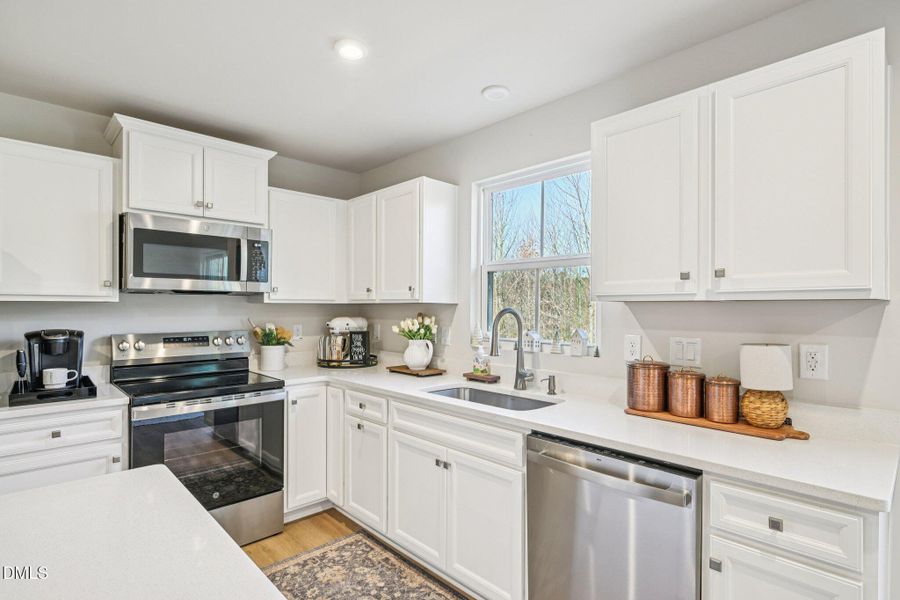 20-web-or-mls-matthiola-S1301-020