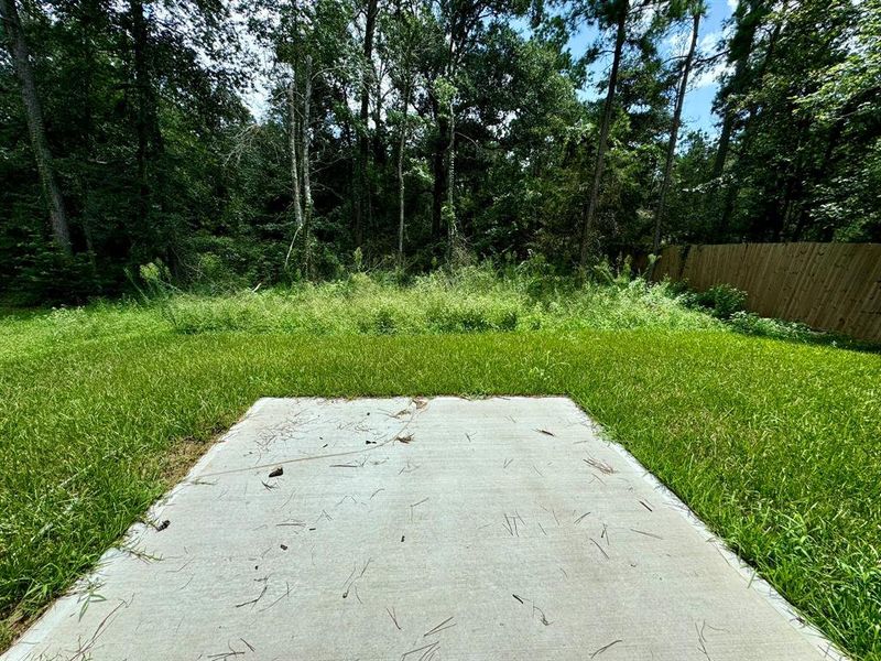 Back yard with large patio