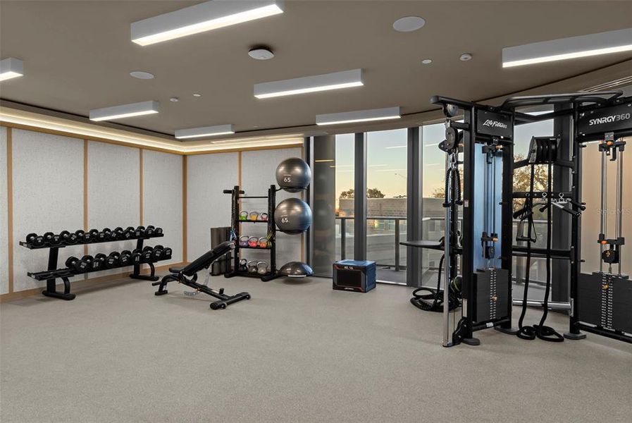 Community amenities in , Tampa (Image 75). Community amenities in , Tampa (Image 75).