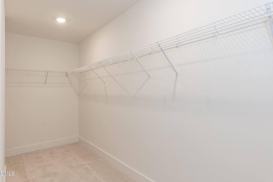 315 New Twin Branch 315 New Twin Branch