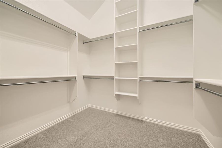 Spacious closet featuring carpet floors