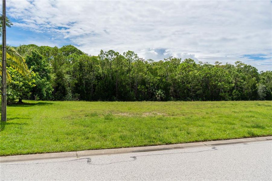 Natural landscape and outdoor views near  in Hudson (Image 30).
