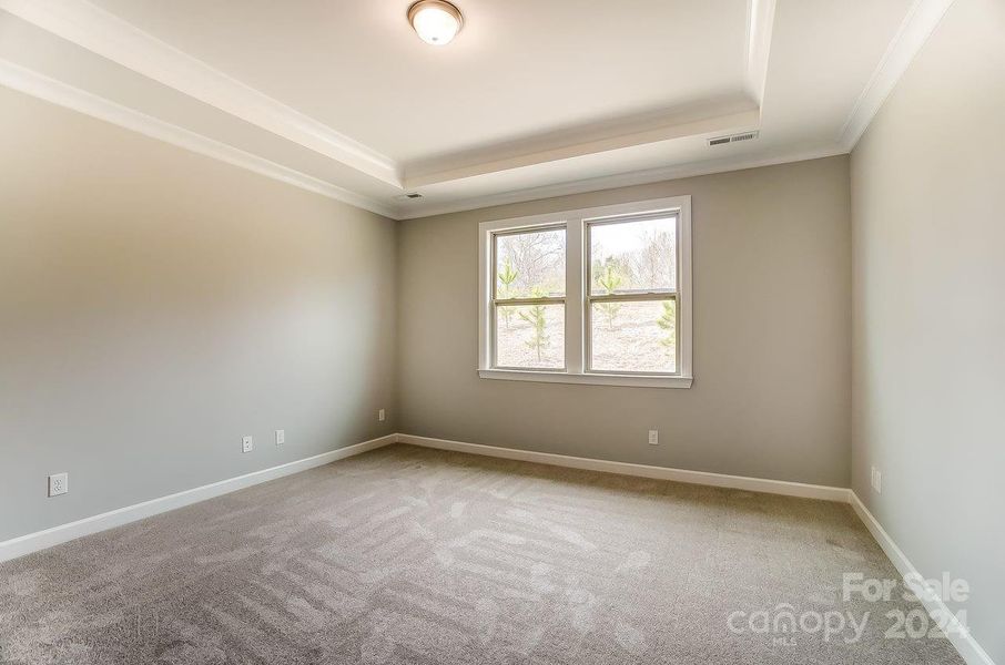 Primary Bedroom with Tray Ceiling-Similar to Subject Property