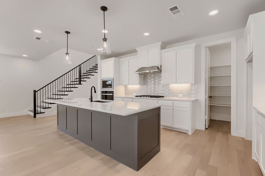 3137 Sir Judge - Kitchen