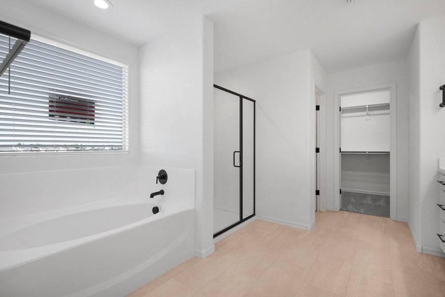 Image 32 representing the Evergreen by Taylor Morrison in Combs Ranch Discovery Collection, San Tan Valley, AZ.