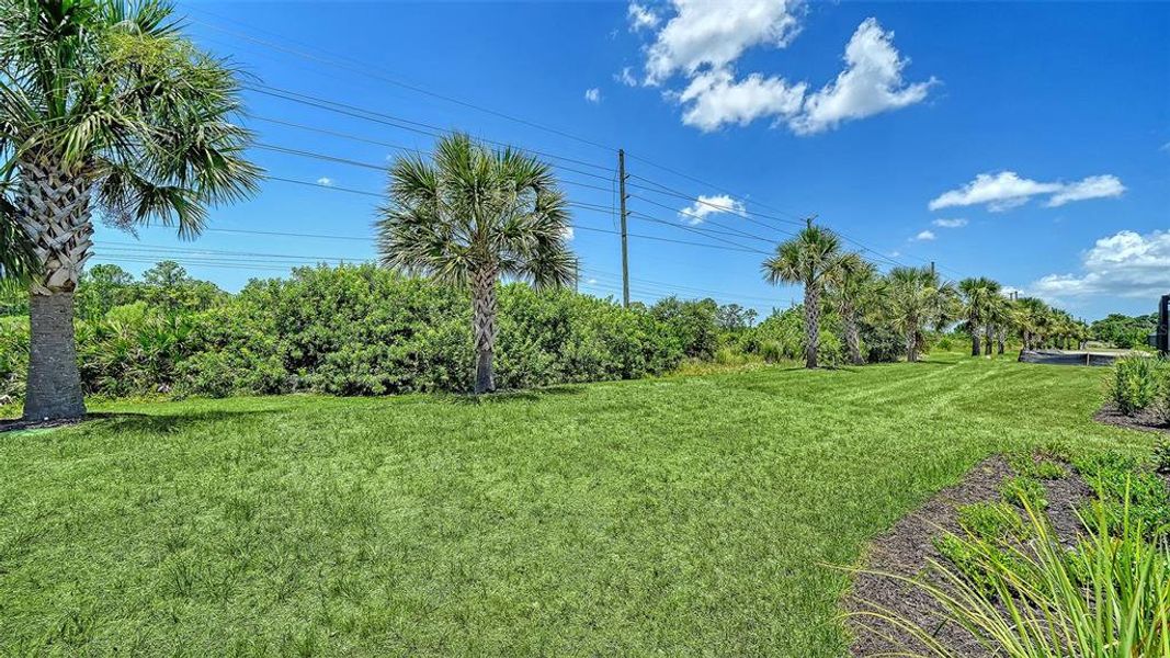 Natural landscape and outdoor views near Windward Real Estate and Homes for Sale in Sarasota, FL - Neal Communities in Lakewood Ranch (Image 37).