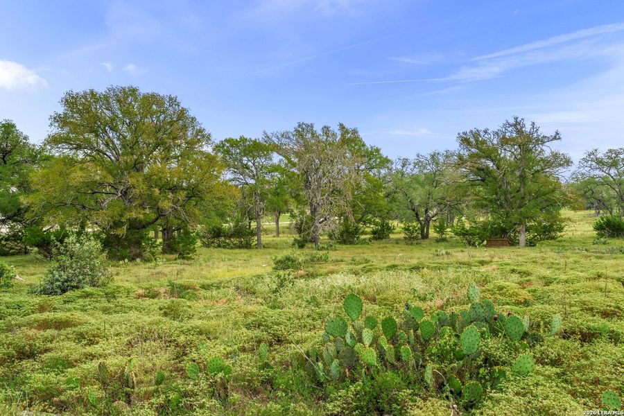 Natural landscape and outdoor views near  in Fredericksburg (Image 9).
