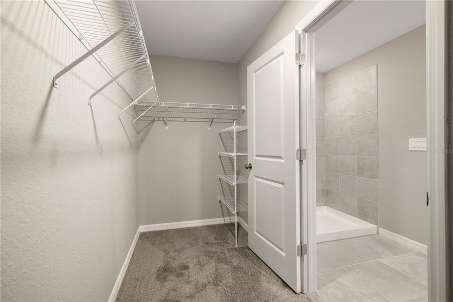 Spacious, unfurnished interior of a new home in , Bradenton (Image 22).