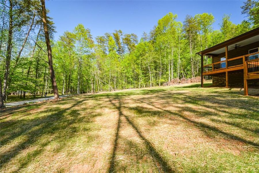 Natural landscape and outdoor views near  in Ellijay (Image 42).