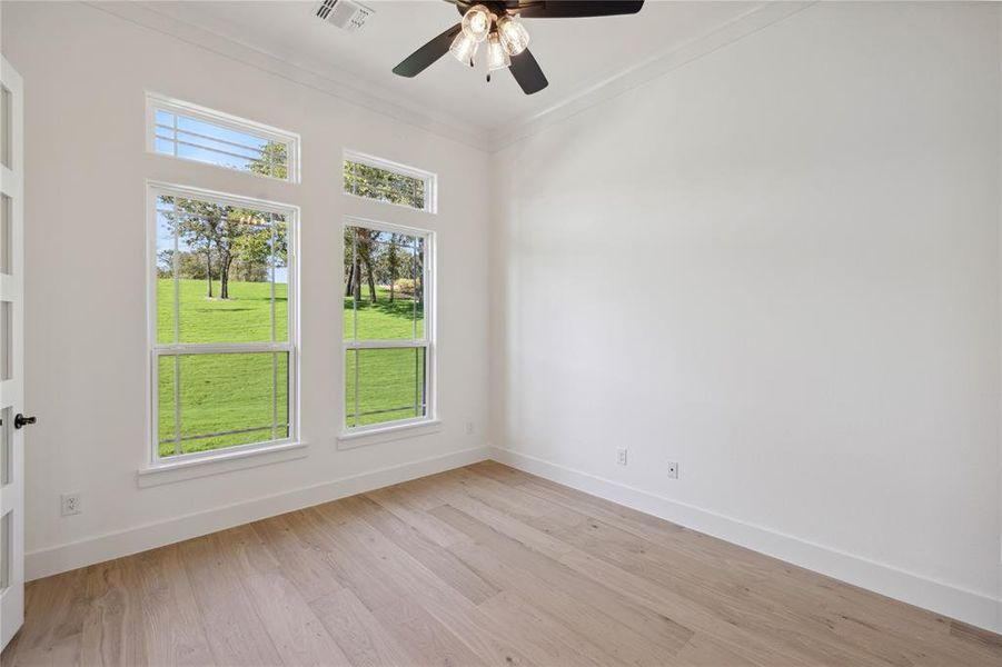 Empty room with ceiling fan, light hardwood / wood-style flooring, and crown molding