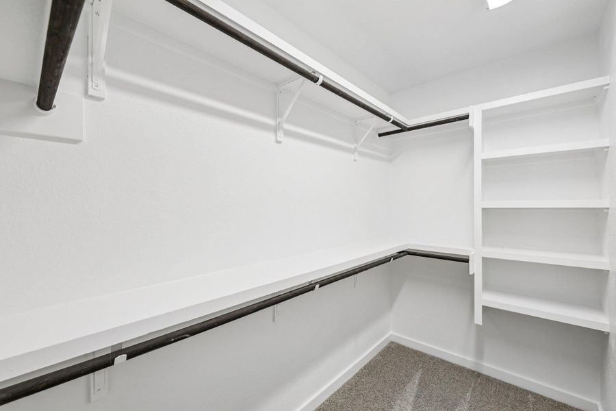 Spacious closet with light carpet Spacious closet with light carpet