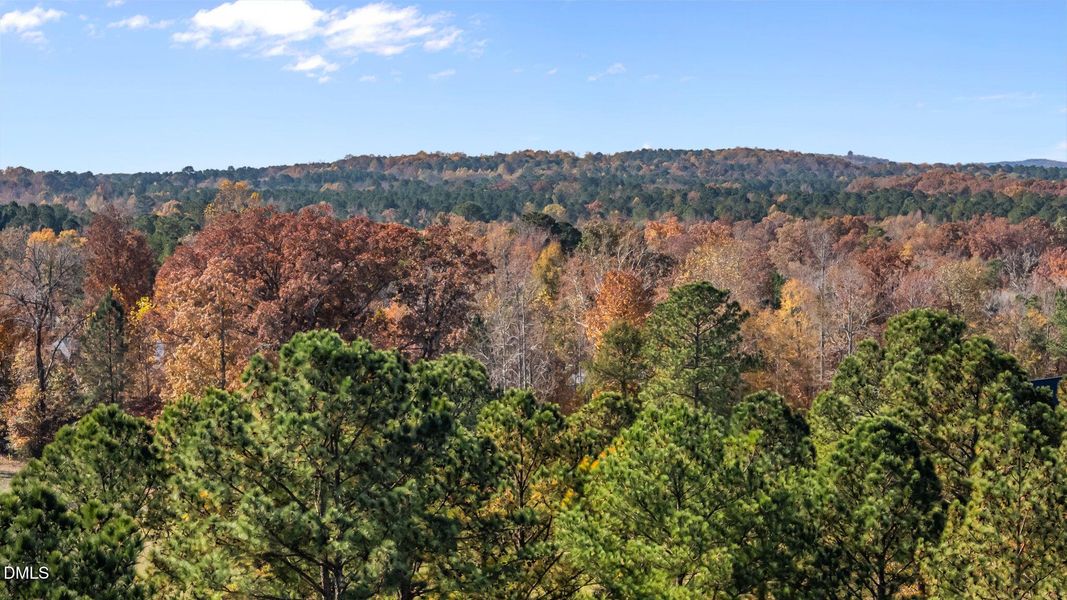 62-web-or-mls-DJI_20251107112620_0450_D