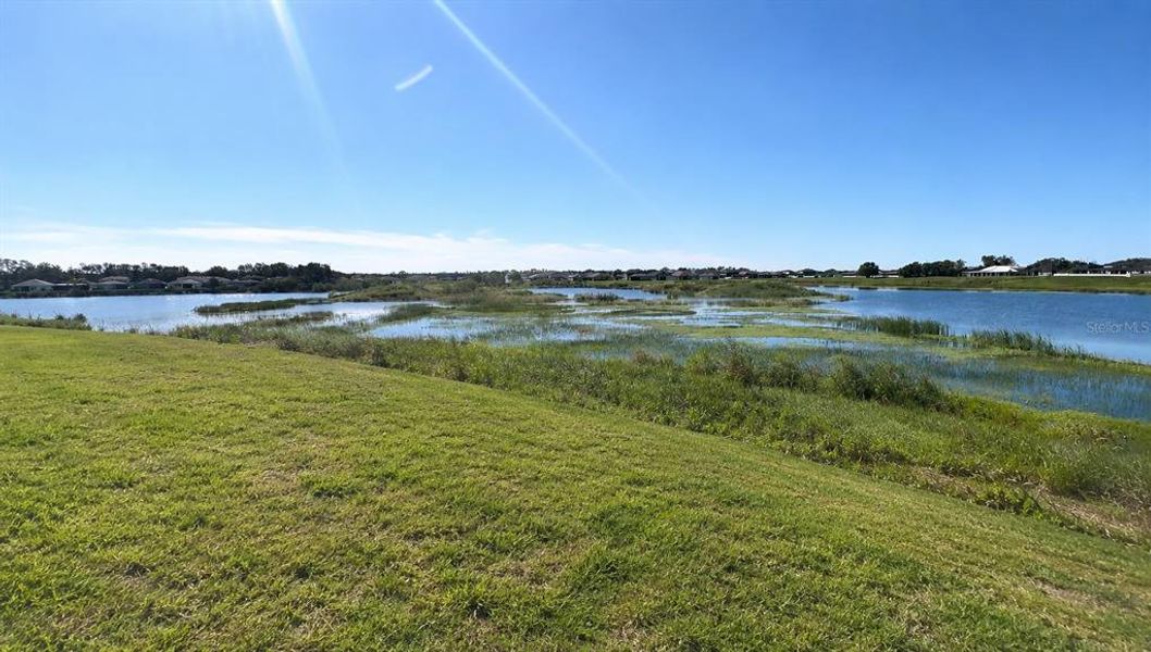 Natural landscape and outdoor views near Triple Creek: The Executives in Riverview (Image 24).