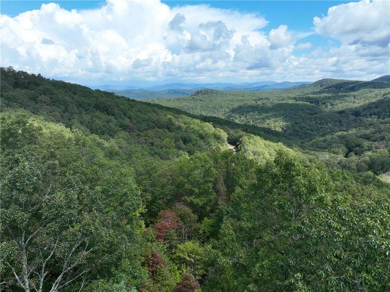 Natural landscape and outdoor views near  in Jasper (Image 29).