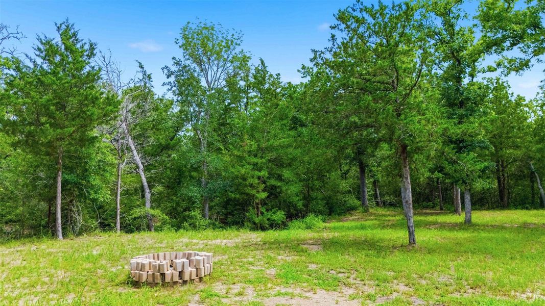 Natural landscape and outdoor views near  in Somerville (Image 30).