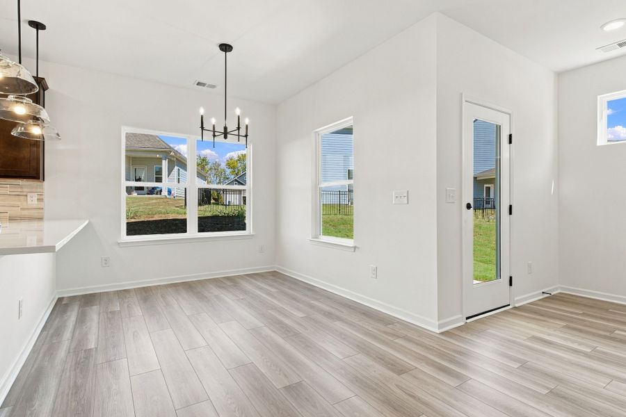 Spacious, unfurnished interior of a new home in Winston Place, Gallatin (Image 13). Spacious, unfurnished interior of a new home in Winston Place, Gallatin (Image 13).