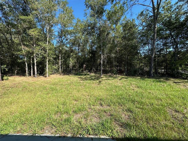 Natural landscape and outdoor views near  in Citrus Springs (Image 34).