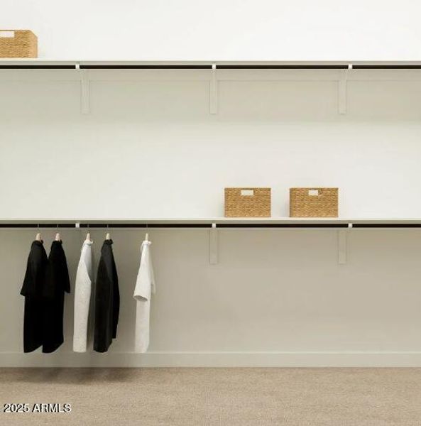 Owners Walk in Closet