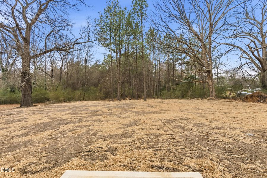 DSC_9009-HDR DSC_9009-HDR