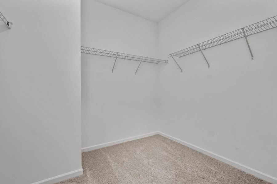 Spacious, unfurnished interior of a new home in Kingston Park, Kingston (Image 19).