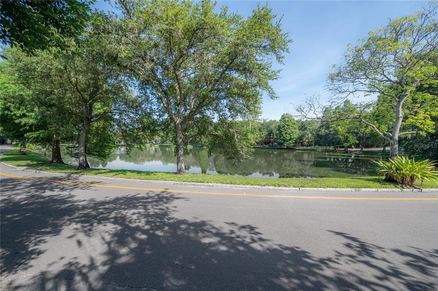 Natural landscape and outdoor views near  in Tampa (Image 59).