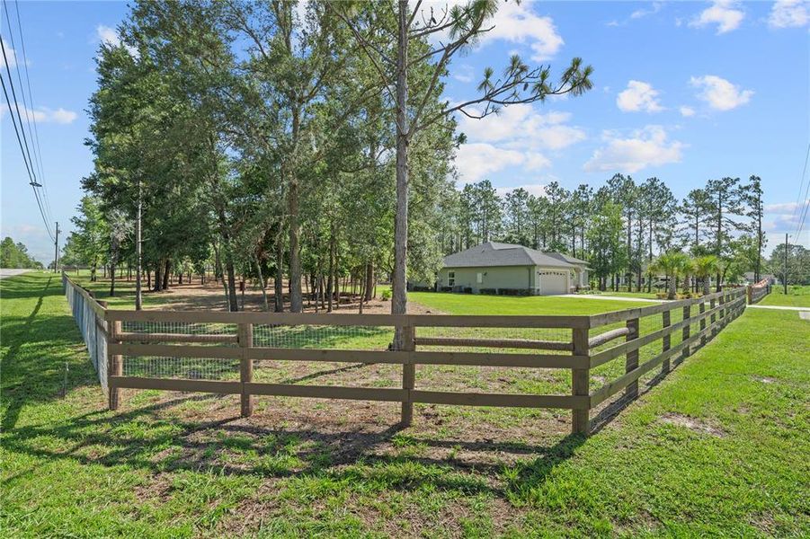 Natural landscape and outdoor views near  in Dunnellon (Image 56).