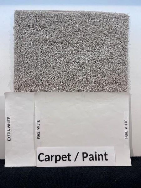 Carpet & Paint Selections