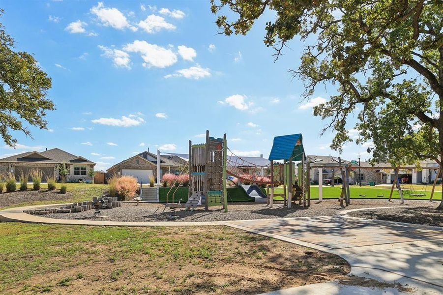 Colony playscape Colony playscape