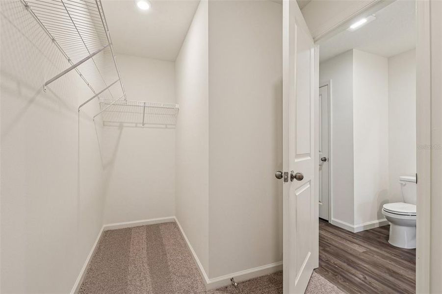 Spacious, unfurnished interior of a new home in Palm Bay Classic, Palm Bay (Image 14).