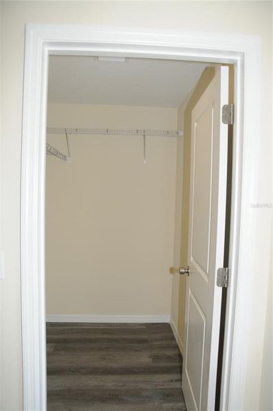 Spacious, unfurnished interior of a new home in , Tampa (Image 24).