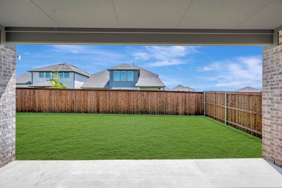 Backyard