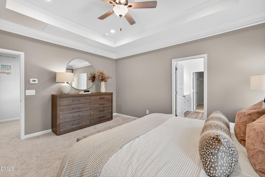 Representational Photo Representational Photo