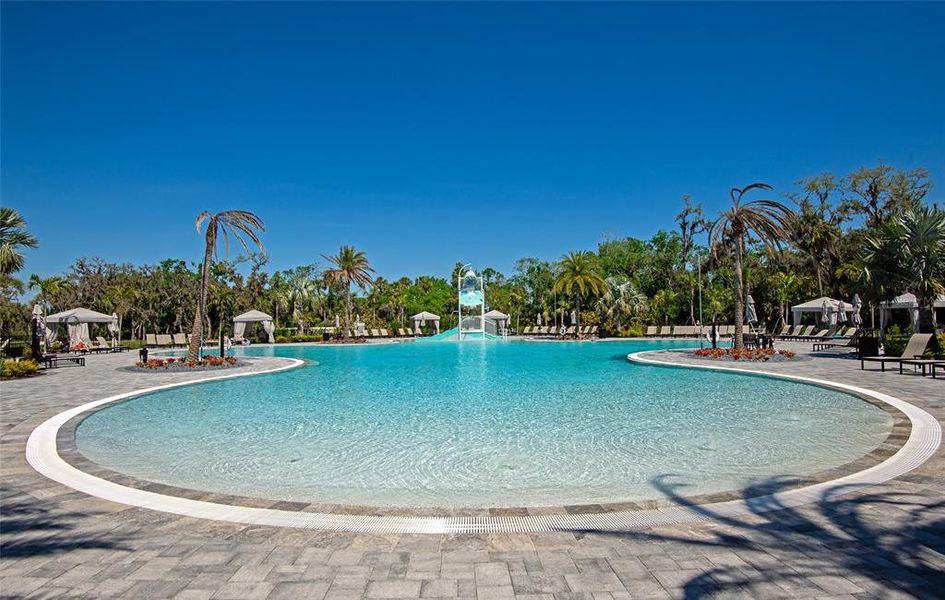 Community amenities in , Sarasota (Image 81).