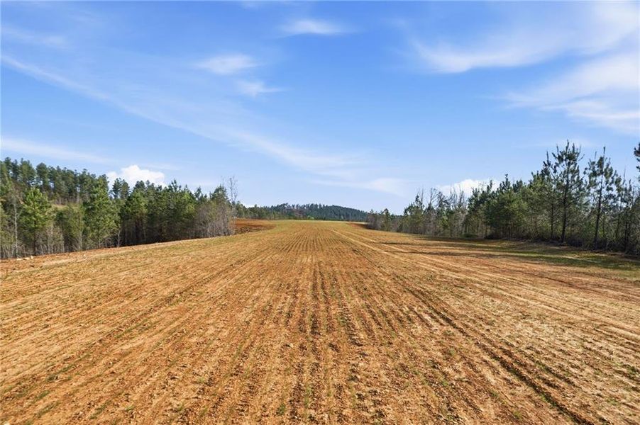 Site preparation for new homesites in , Ellijay (Image 7).