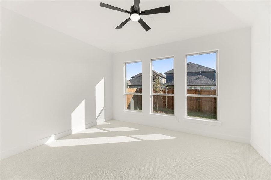 16. 3105 Summer - Primary