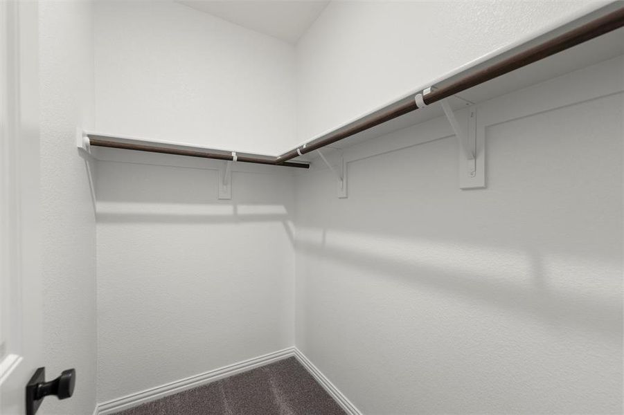 Spacious closet featuring carpet floors Spacious closet featuring carpet floors