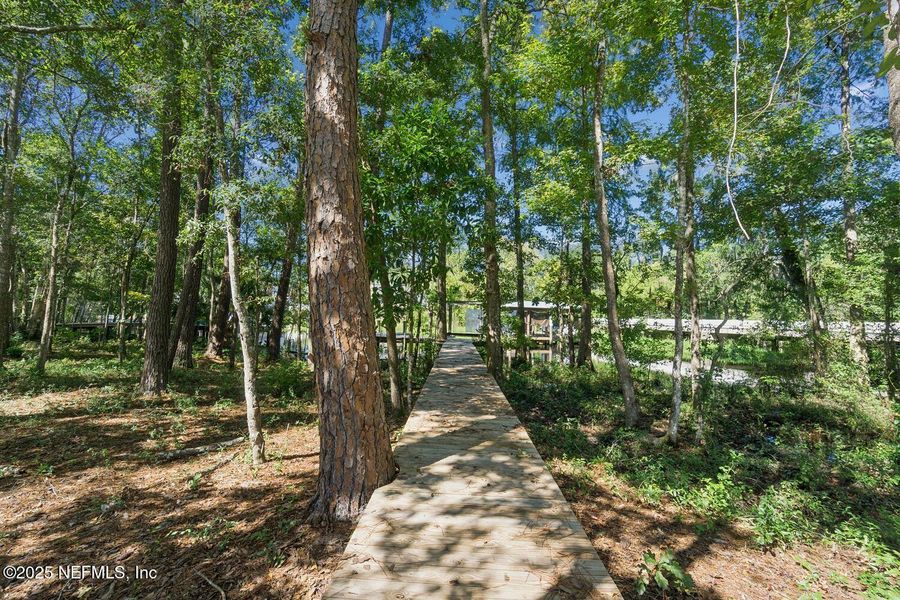 Natural landscape and outdoor views near in Jacksonville (Image 45). Natural landscape and outdoor views near in Jacksonville (Image 45).