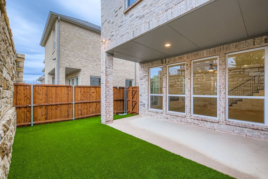 3113 Sir Judge - Backyard