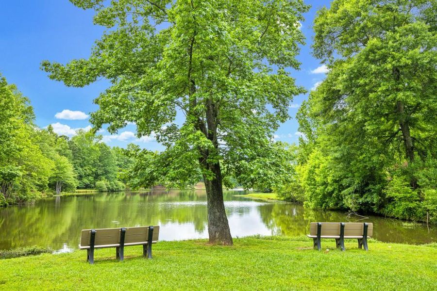 Natural landscape and outdoor views near  in Newnan (Image 95).