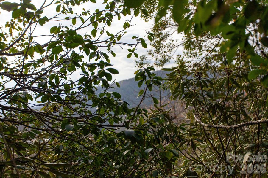 Natural landscape and outdoor views near  in Penrose (Image 12).