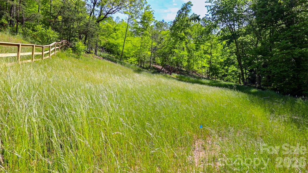 Natural landscape and outdoor views near  in Weaverville (Image 29).