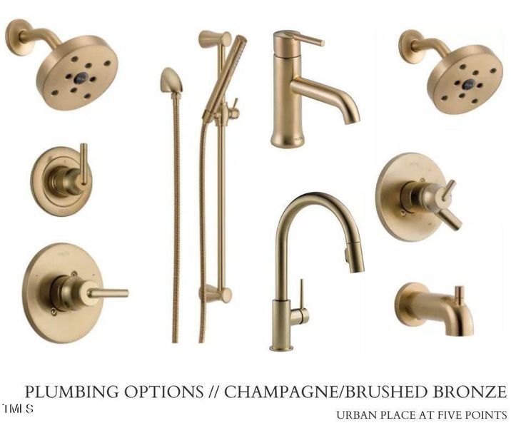 PLUMBING OPTIONS __ Champagne_Brushed Br