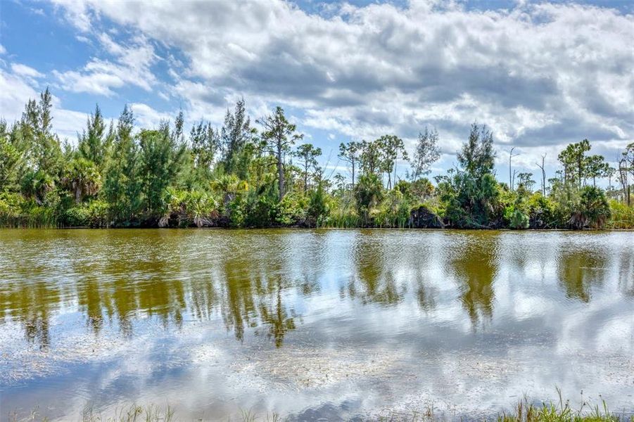 Natural landscape and outdoor views near  in Port Charlotte (Image 52).