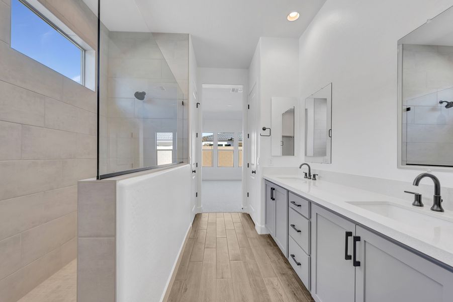 Owner's Bath