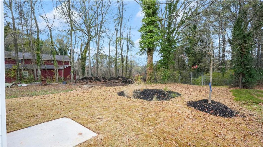 Natural landscape and outdoor views near  in Atlanta (Image 20).