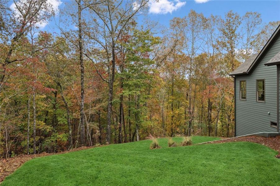 Natural landscape and outdoor views near  in Dahlonega (Image 51).