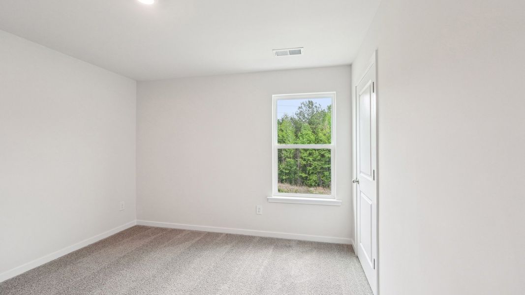 Spacious, unfurnished interior of a new home in Reedy Creek Preserve, Charlotte (Image 28).
