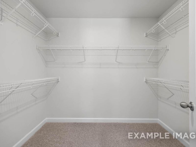 Spacious, unfurnished interior of a new home in Gregory Village, Lillington (Image 25).